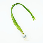 Buy2Get1Free Cyperus Helferi Bundle Live Aquarium Plant Freshwater For Fish Tank