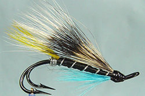 Mouche Per Salmone Blue Smelt, Amo Doppio, Hairwing, Pesca A Mosca In Fiume