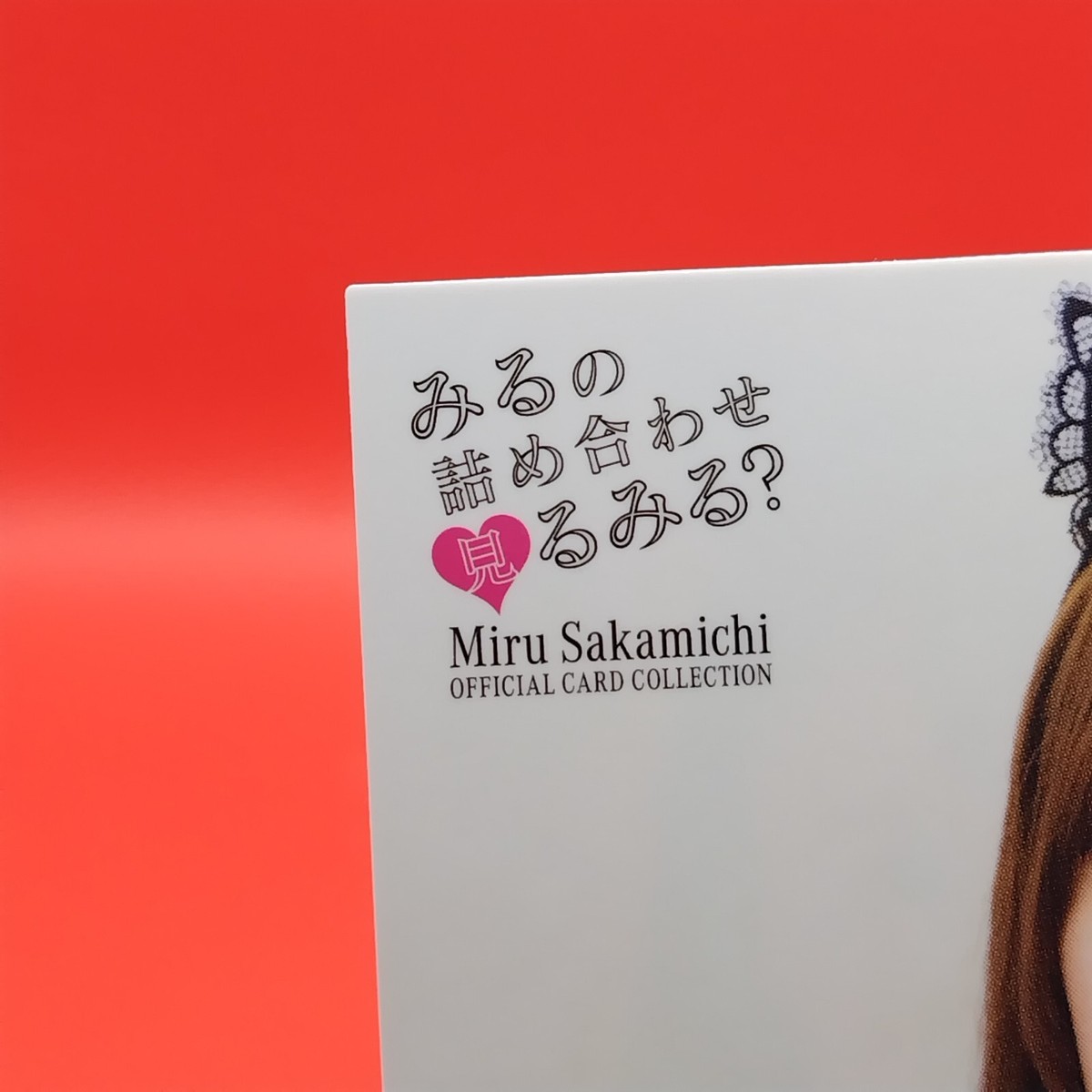Miru Sakamichi Japanese AV Actress Official Card Collection Sexy