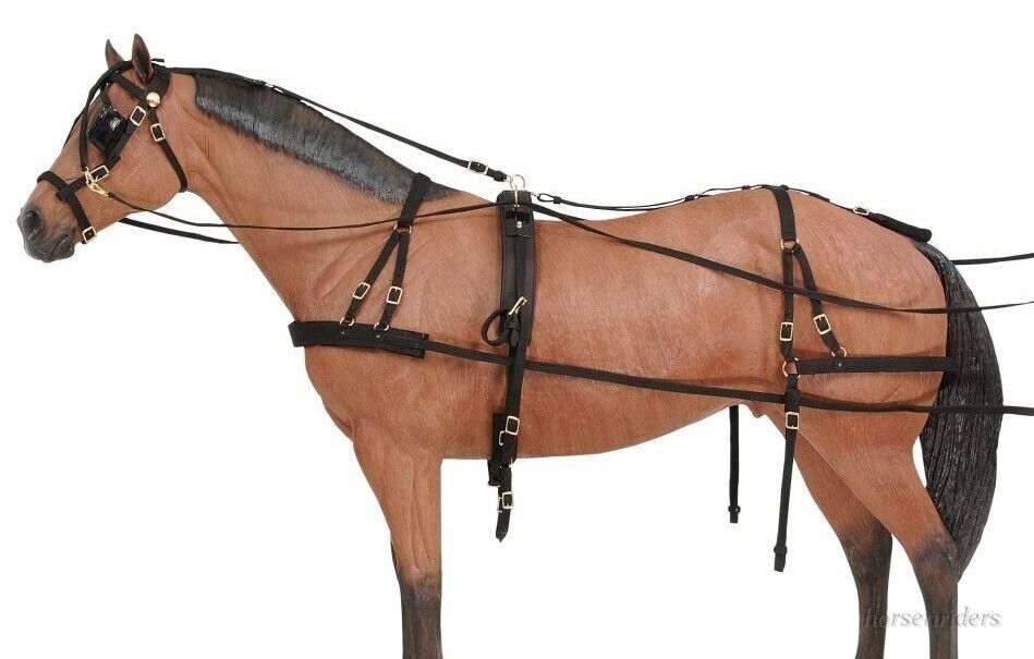 Horse Driving Harness - Samson Deluxe - Horse Size - Black Horse Driving Harness - Samson Deluxe - Horse Size - Black
