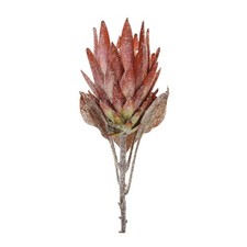 Orange Protea Flower Stem Set of 2 
