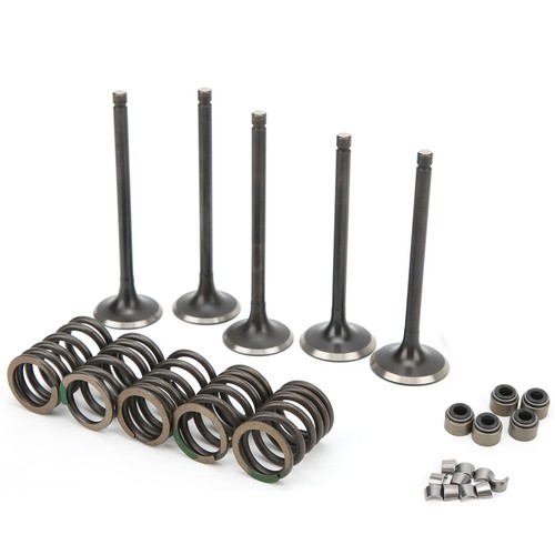 Cylinder Head Intake Exhaust Valve Kit Fit For GRIZZLY 660 YFM660F 4WD 2002‑2008 - Picture 21 of 22