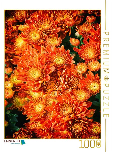 Calvendo Puzzle Fellbacher Wine Chrysanthemums | 1000 Pieces, Finished Size 25.2-image