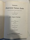 Lot Of 2 Hammond’s 1958 Nature Guide/1955 World Atlas Books — photo 4