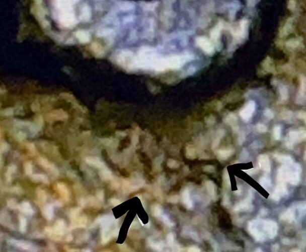 Picture 1 of 5