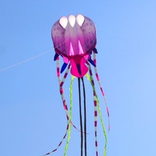 18m Large 3D Kites models Original Software kite jellyfish painted flower Demo