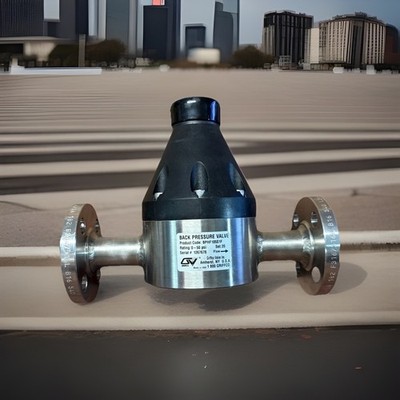 Griffco 1/2''NPT Back Pressure Valve 0-50psi 20# Set BPHF105S1F