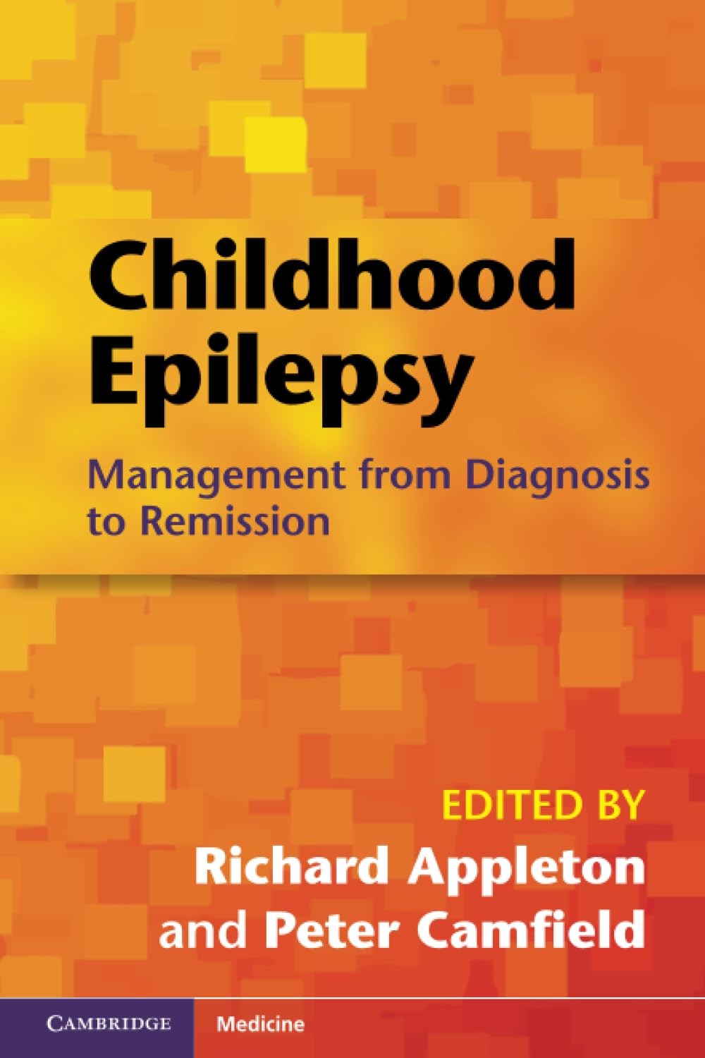 Childhood Epilepsy: Management from Diagnosis to Remission,