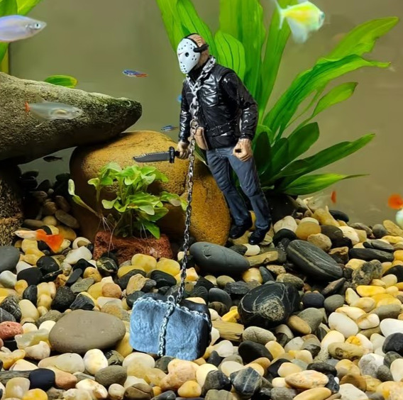 Statuina assassina affondamento acquario pesci serbatoio per serbatoi acqua dolce e salata Regno Unito foto 2