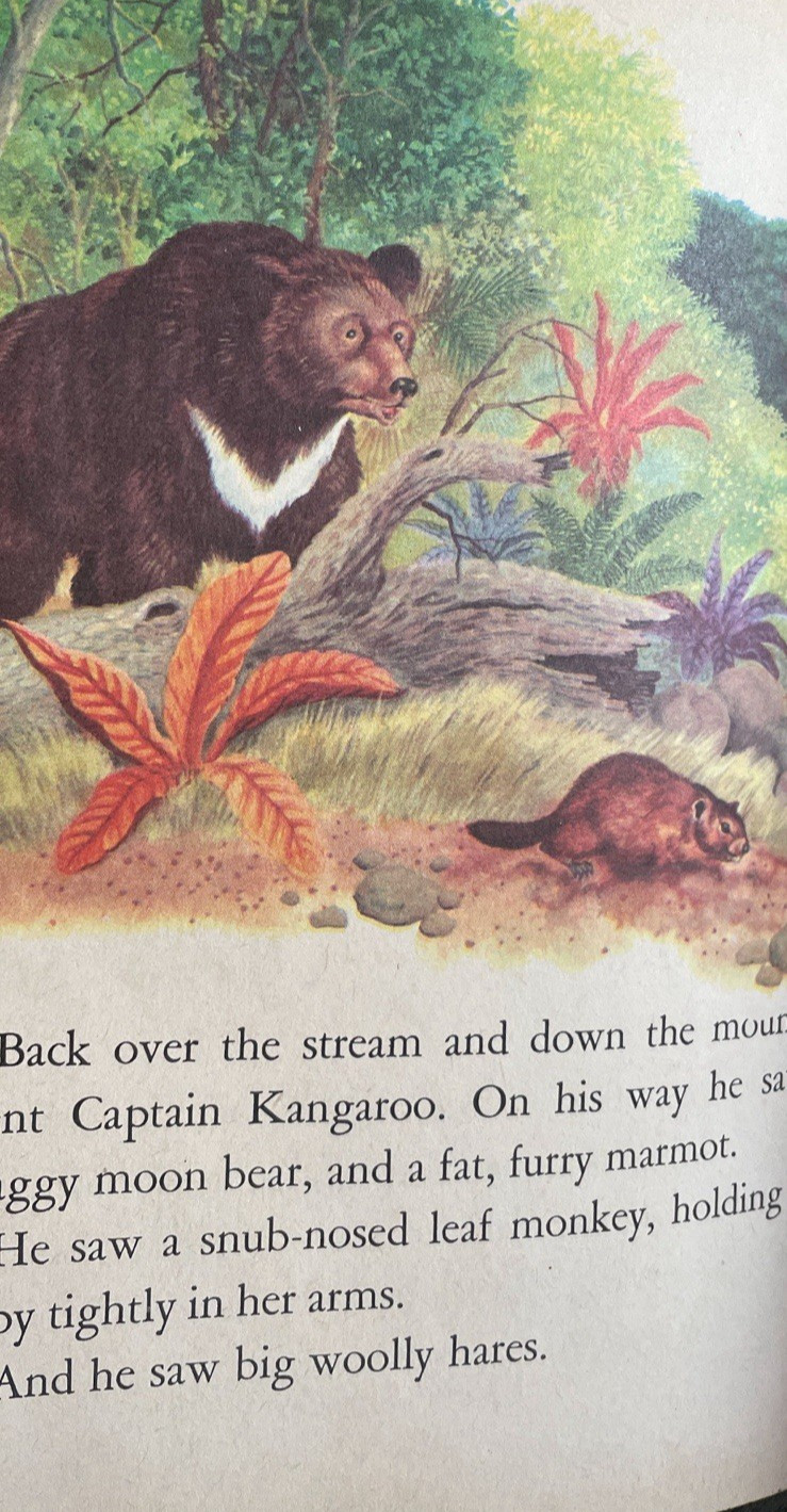 Captain Kangaroo And The Panda Little Golden Book 1957