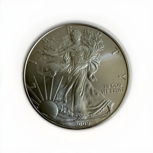 2009 American Silver Eagle 1 oz .999 Fine Silver