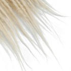 Bild 11 von 76