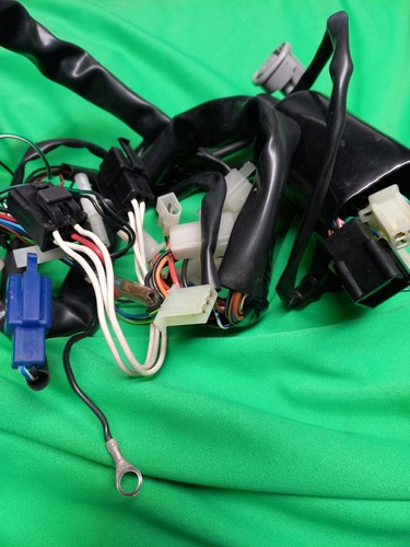 IMPIANTO ELETTRICO YAMAHA TT600 5CH DJ011 ORIGINALE NUOVO - Imagen 6 de 9