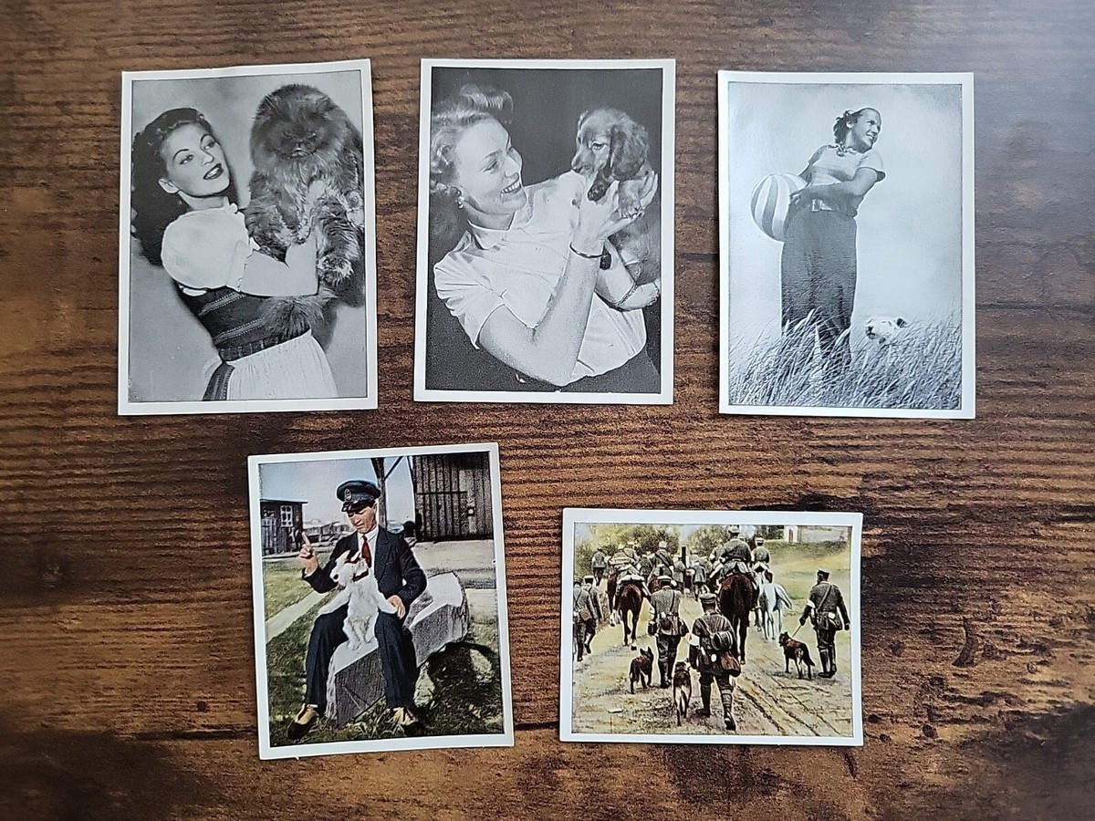 german cigarette cards 5 German Cigarette Cards Feat. Animals Cat Dog Pet Jack Russell Shepard  Daschund