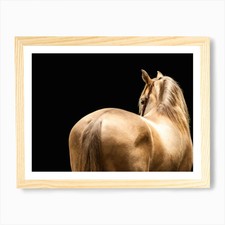 Golden Horse - Ardennen Belgisches Foto Gerahmtes Wandbild Poster Leinwanddruck Bild