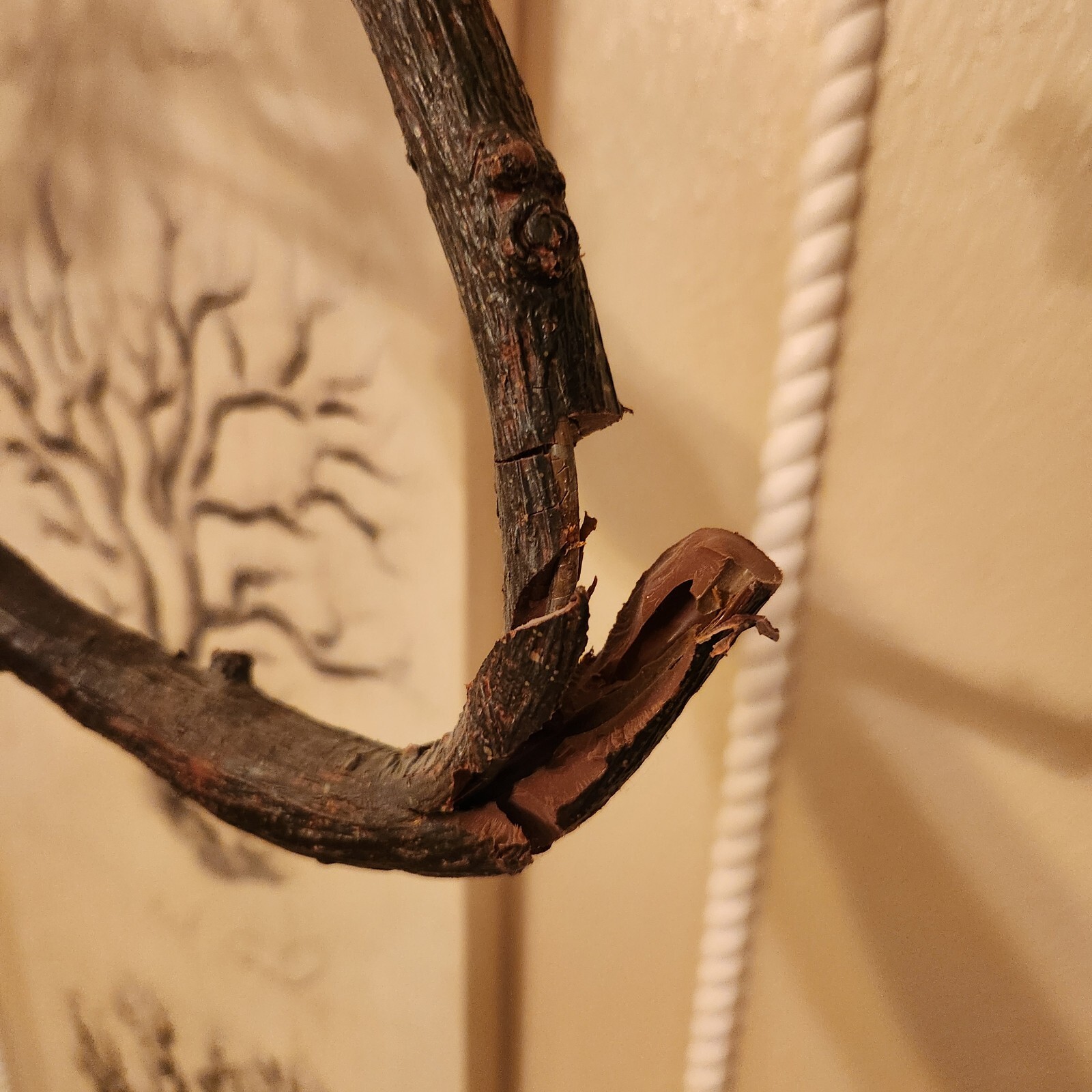 Picture 5 of 6