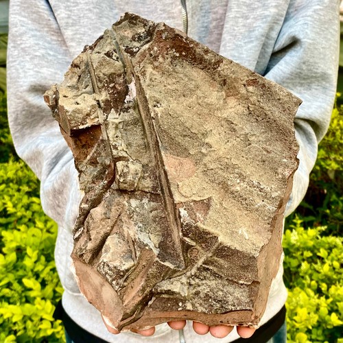 7.16LB Natural Citrine cluster mineral specimen quartz crystal healing - Picture 20 of 20