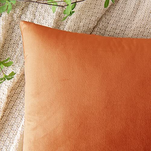 Pillow Inserts Orange Pillow Covers 20x20 Outdoor Throw Pillows
