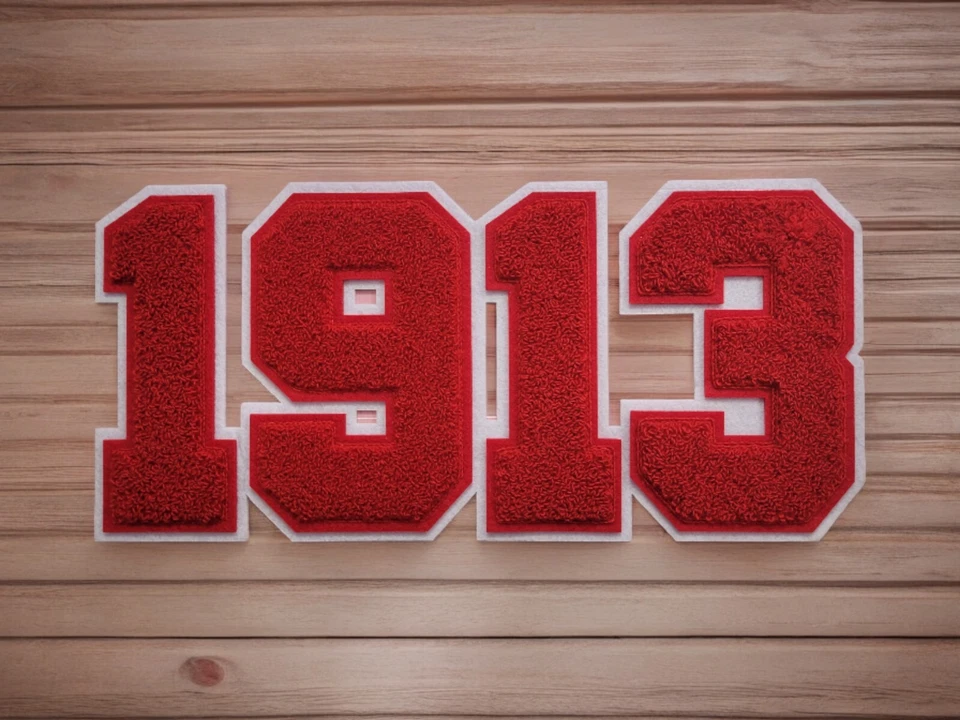 12" x 4.25" Delta Sigma Theta 1913 chenille and embroidered iron on patch - Image 2 of 4