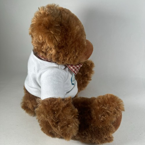 Ms Teddy Bear Plush Brown White Shirt Ovarian Cancer Alliance Cincinnati 9" - Picture 4 of 10