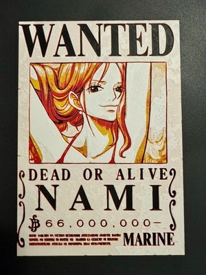 NAMI | Poster Gemälde ONE PIECE gedruckt 3D Größen gesucht Rentier Sammlung