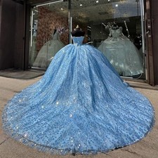 Lace-up Princess Ball Gown Appliques Beading Sleeveless Court Train Draped