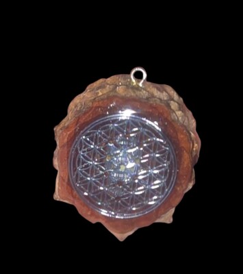  Knobcone (THIRD EYE) With Silver Decal Resin Filled PENDANT(small)