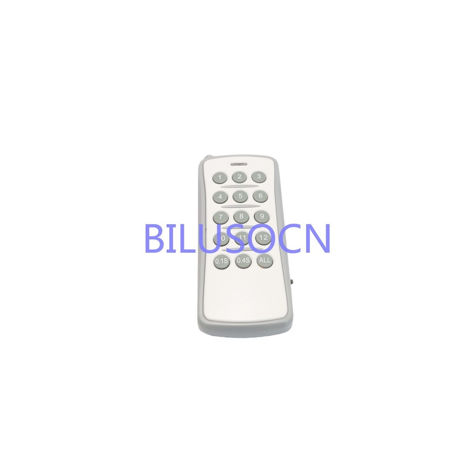 NEW Bilusocn 12 Cue Wireless Fireworks Firing system Remote time ...