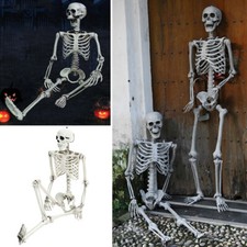 12-67inch Halloween Real Life Size Human Skeleton Model Perfect Decor Full Bones