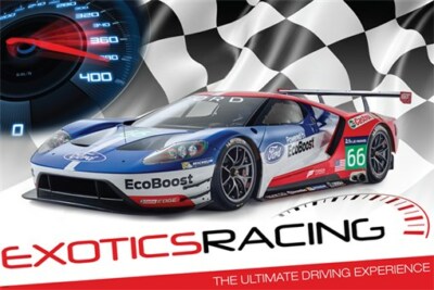 colorful dynamic EXOTIC RACING CAR poster ULTIMATE DRIVING EXPERIENCE 20x30