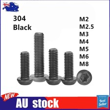 Black 304 Stainless Steel Torx Soket Pan Head Screws M2 M2.5 M3 M4 M5 M6 M8