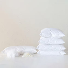 Duck Feather 18 In. down Pillow Insert