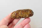 Morocco Kerrouchen Seam Agate 10.4 oz lapidary faced rough Lot C2 — photo 8