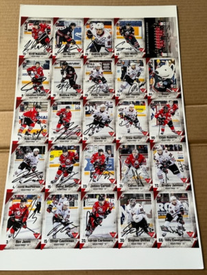 2017-18 Niagara IceDogs SIGNED UNCUT Team Set Sheet OHL Philip Tomasino AUTO
