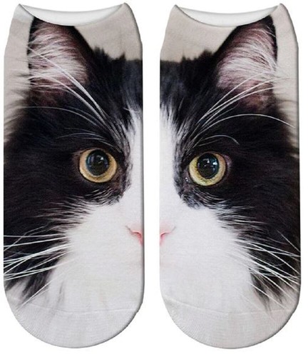 cat trainer socks