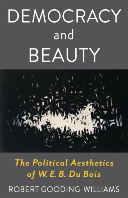 Democracy and Beauty: The Political Aesthetics of W. E. B. Du Bois by Robert Go - Image 3