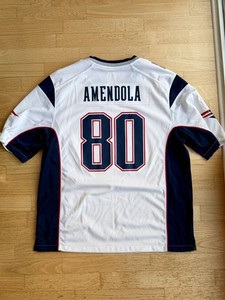 Danny Amendola Jersey | eBay