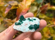 DIOPTASE XX / Emerald Green Crystals / Midingi Kongo Congo / Copper Smaragd