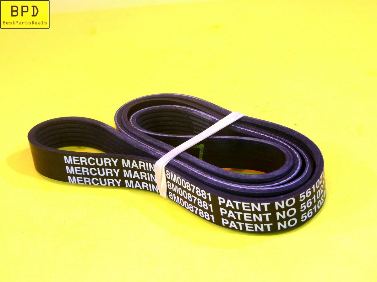 【marno】美品　Marden belt 81QuWOncFML._UF894,1000_QL80_.jpg