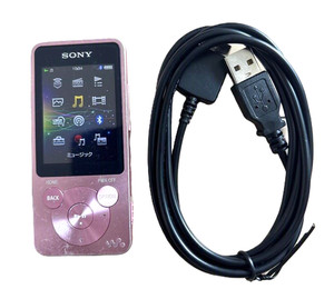 Sony Walkman Nw-S203f for sale | eBay