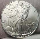 2022 American Silver Eagle - 1 Troy Oz .999 Fine Silver Bullion - CH-22a