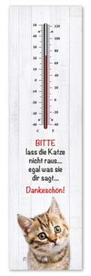 Kult-Thermometer + Schlüsselhalter - Katze nicht raus - Alu Innen+Aussen T009