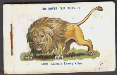 1925 Thomson - THE ROVER - V P Flips - 1-4