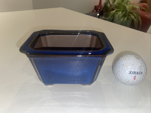Shohin Bonsai Pot Japanese Small Bonsai Pot With Dark Blue Glazing - Picture 2 of 10