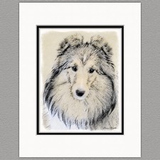 Shetland Sheepdog Sheltie Original Print 8x10 Matted to 11x14