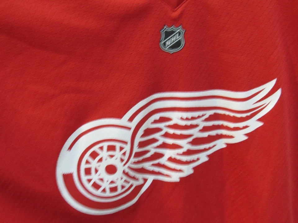 Detroit Red Wings NHL Hockey Jersey Pavel Datsyuk Reebok Youth L /  XL - Image 4 of 4