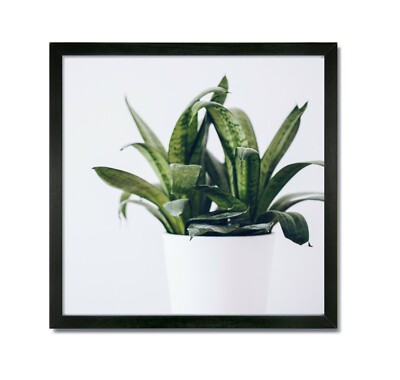 16x16 EcoLine Black Picture Frame with Clear Glass & Backing