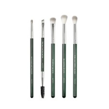 NIB MOTD 5pc Eye Brush Set