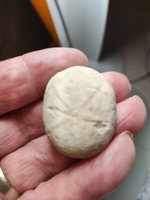 Oursin Echinolampas Ovalis De  Eoocène Du Medoc