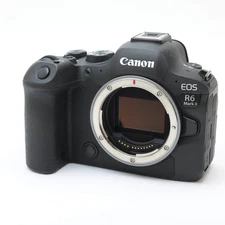 Canon EOS R6 Mark II 24.2MP Mirrorless Camera Body #89 -Near Mint-